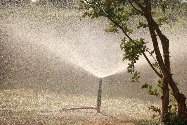 sprinkler head repair