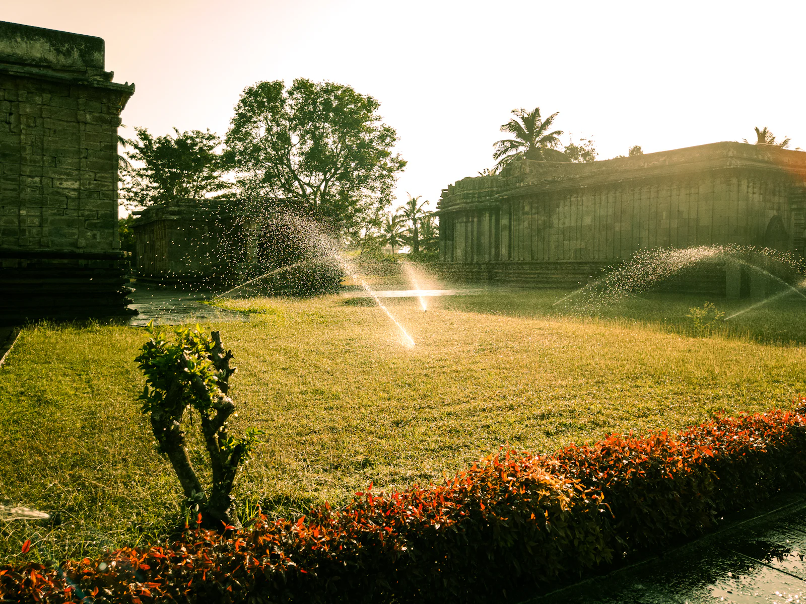 landscaped yard with drainage in San Angelo