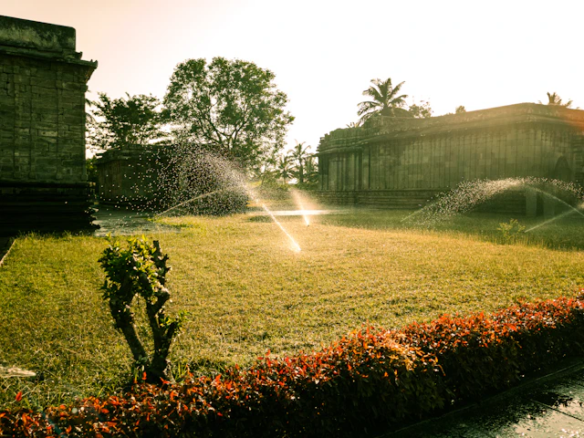 landscaped yard with drainage