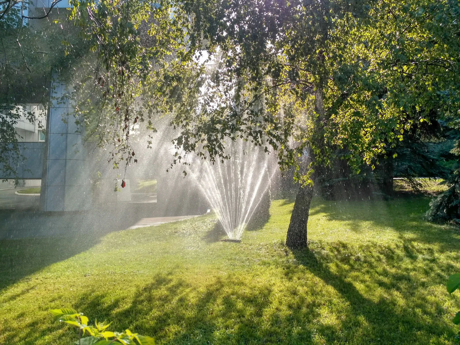 new sprinkler system installation on a green lawn